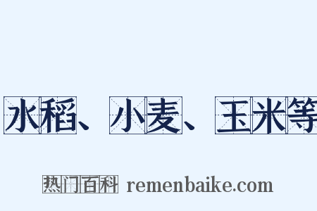水稻、小麦、玉米等是什么意思的图片
